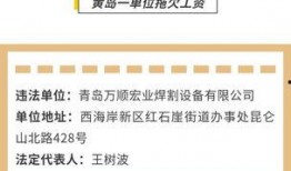 长沙工友最新爆料信息,揭秘某项目背后惊人内幕